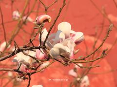 -东华门大街小区