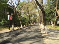 街道-山东大学(趵突泉校区)