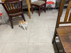 -安庆柴火馄饨(马道街店)