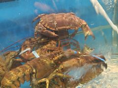 -沿海渔家院海鲜烧烤·东北菜(东戴河店)