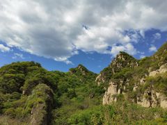 -大岭沟猕猴桃谷风景区