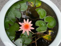 -西安市广仁寺