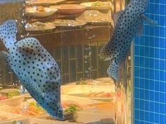 -海味世家·家常菜馆(明州里店)