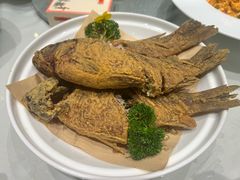 -老牌坊鲁菜名店(聊城美食岛店)