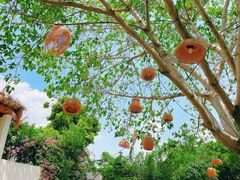 -悦哉·派对·草坪婚礼·围炉煮茶(三圣乡店)