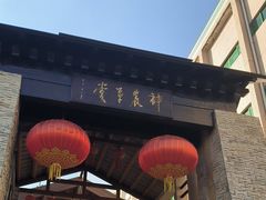 -广州神农草堂中医药博物馆