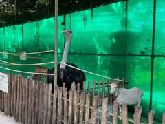 -史努比缤纷世界