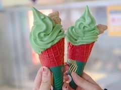 一棵行走的圣诞树-麦当劳(温州人民路店)