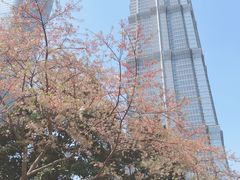 -上海环球金融中心云端足球盛典