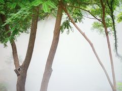 -北京西山国家森林公园