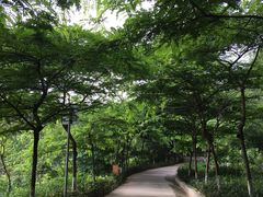 -田心森林公园