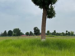 -汉长安城未央宫国家考古遗址公园