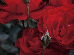 -人民公园(罗湖区)