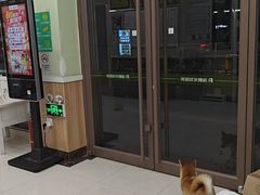 -瑞鹏宠物医院·夜间急症·心超·猫科(祖庙分店)