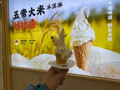 -野人先生现做冰淇淋(西安赛格店)