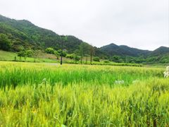 -东钱湖旅游度假区