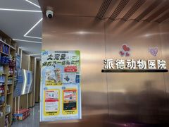 -pd派德宠物中心医院24H急重症·眼科中心·血液透析中心(嵩山北路店)
