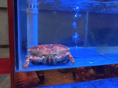 -小龍鳳·港式海鲜打边炉(沙湖路店)