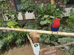 -南宫五洲植物乐园