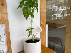 门面-呷贺盐酥鸡(抄纸巷店)