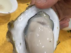-蚝专家(北滘店)
