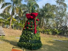 -芭厘·农庄老字号.电饭煲五指毛桃焗鸡