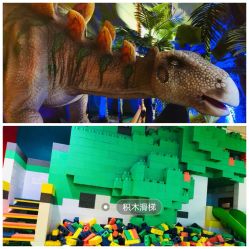 -恐龙探索乐园(磁器口店)