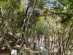 -崂山巨峰游览区