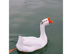 -渭河城市绿地运动公园