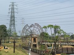 -王借岗森林公园
