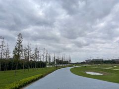 -春花秋色城市公园