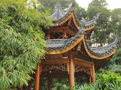 -阳台山森林公园