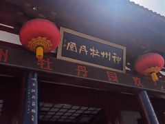 -神州牡丹园