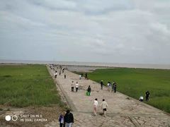 -南汇嘴观海公园