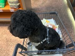 -MARSMART PETS火星宠物超市(1733店)