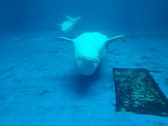 -石林冰雪海洋世界