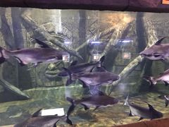 -梦幻海洋王国(吾悦广场张家港店)