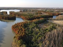 -上海海湾国家森林公园