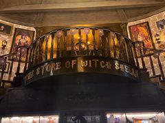 -雪灵魔法世界SHELLY’S TAROT(大良桂畔里店)