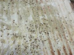 -勃利地摊·勃立小串烧烤