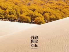 -佛掌沙丘