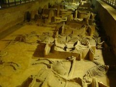 -洛阳周王城天子驾六博物馆