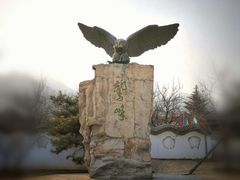 -北京鹫峰国家森林公园