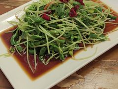 -少林寺欢喜地素斋馆