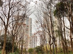 -苏州河梦清园环保主题公园