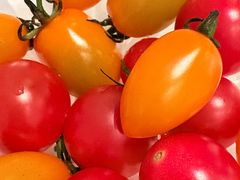 -79号渔船海鲜饭店(西丽店)