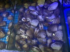 -震海贝烤贝·民俗特色店(延吉总店)
