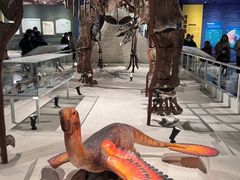 -国家自然博物馆