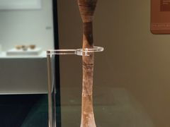 -上海中国航海博物馆