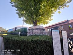 -中国宋庆龄青少年科技文化交流中心
